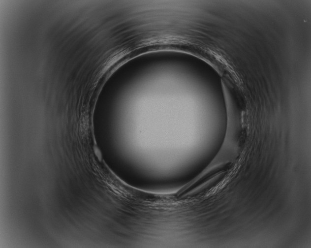 X0000052641073200507160151