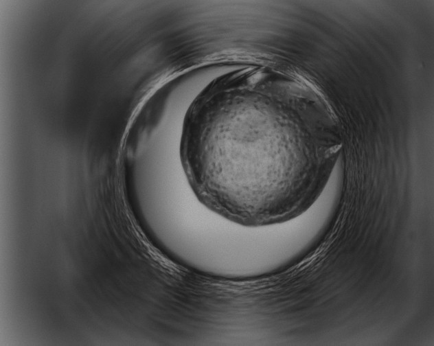 X0000052641075200507160151