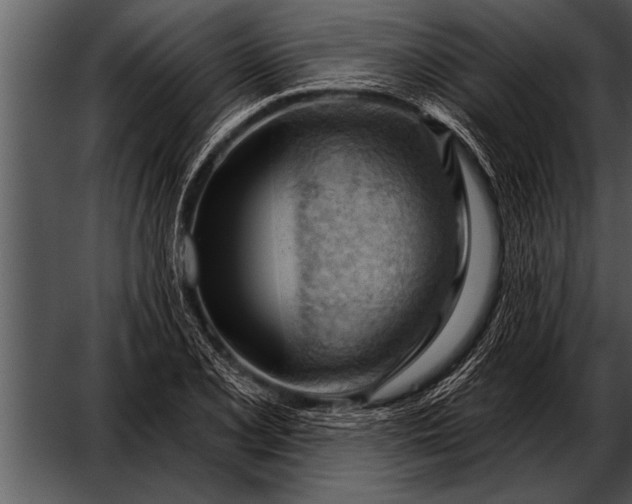 X0000052641077200507160150