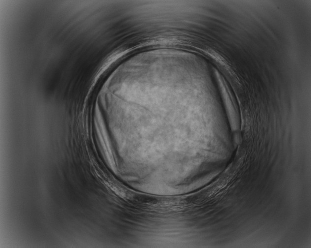 X0000052641078200507160150