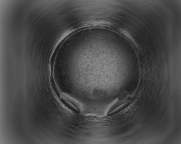 X0000052641079200507160150