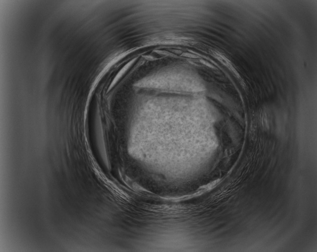 X0000052641080200507160150