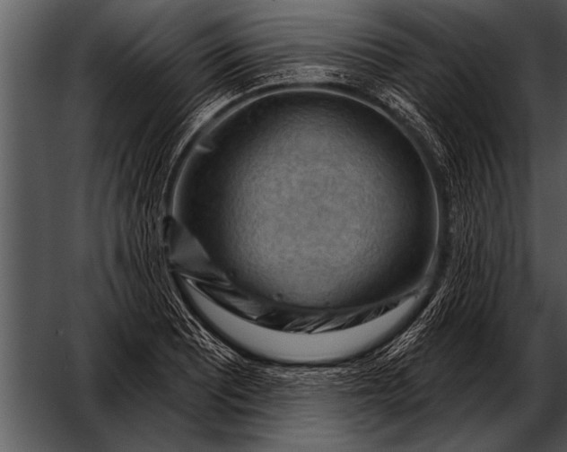 X0000052641081200507160150