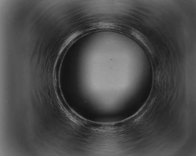 X0000052641082200507160150