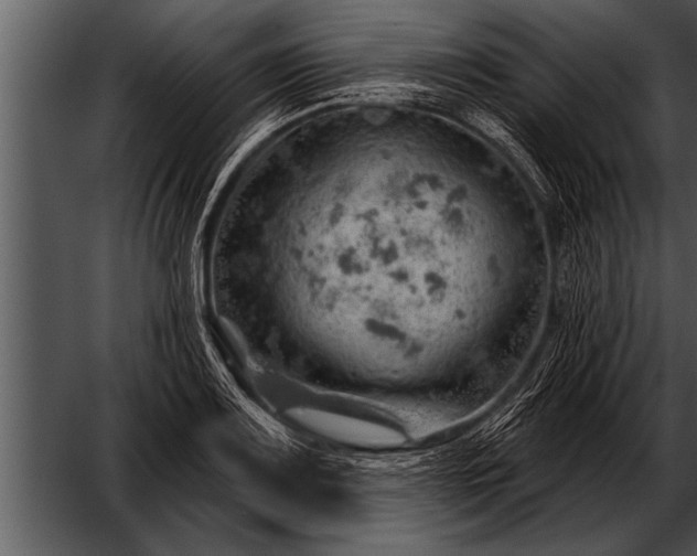 X0000052641083200507160150