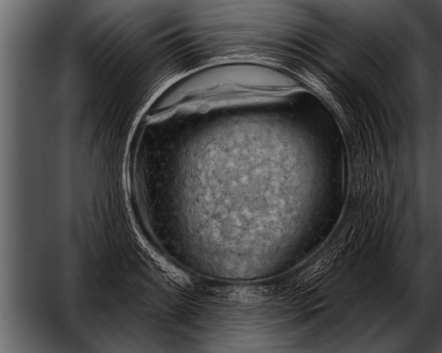 X0000052641084200507160150