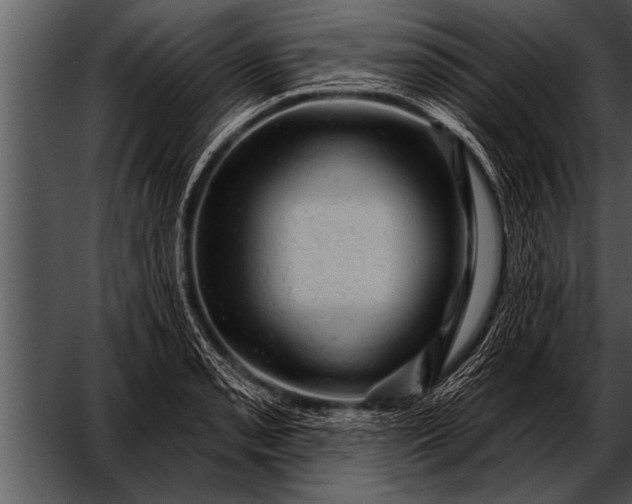 X0000052641085200507160150