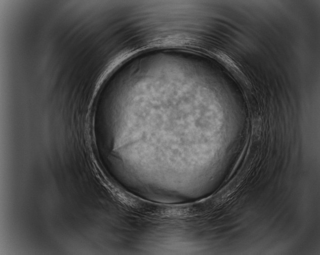 X0000052641086200507160150