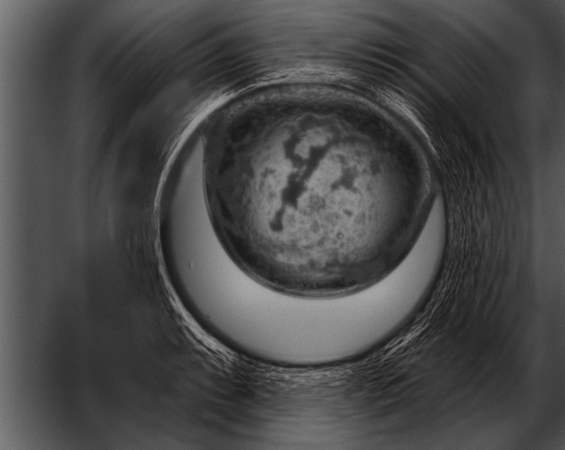 X0000052641087200507160150