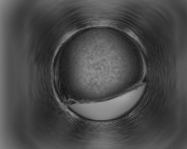 X0000052641088200507160150