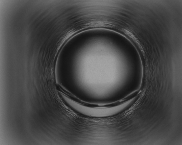 X0000052641089200507160150