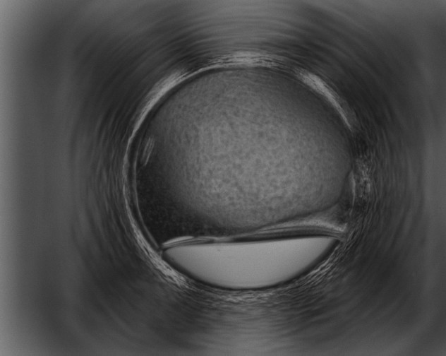 X0000052641091200507160150