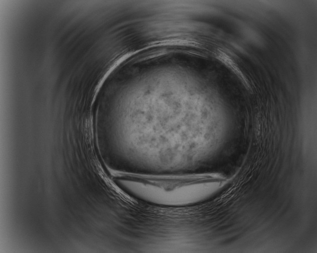 X0000052641092200507160150