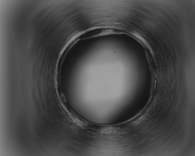 X0000052641093200507160150