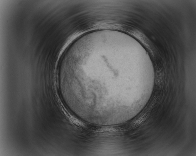 X0000052641094200507160150