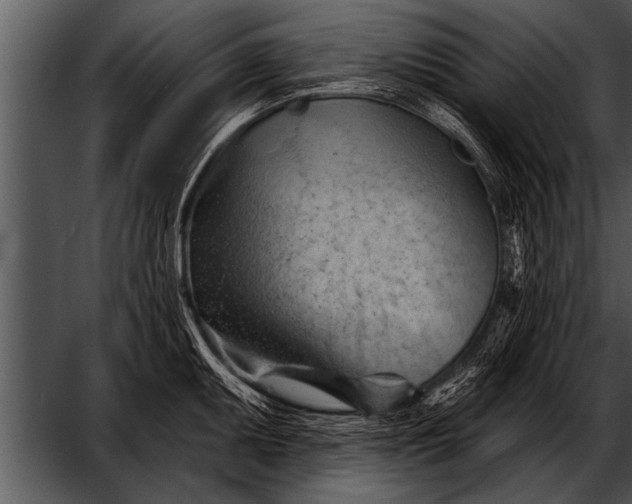 X0000052641095200507160150