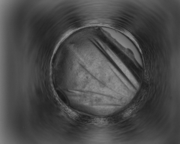 X0000052641096200507160150