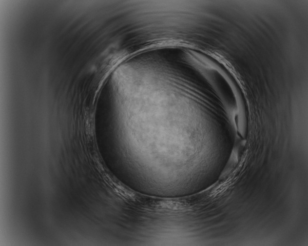 X0000052641097200507160150