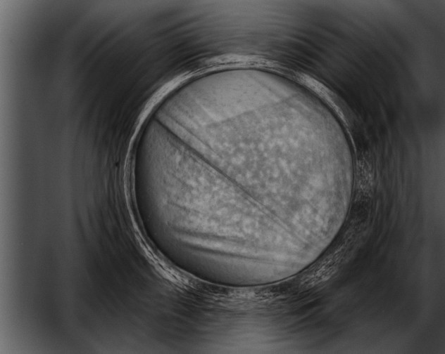 X0000052641098200507160150