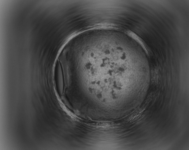 X0000052641099200507160150