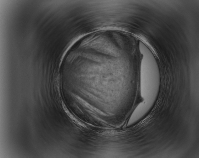 X0000052641100200507160150