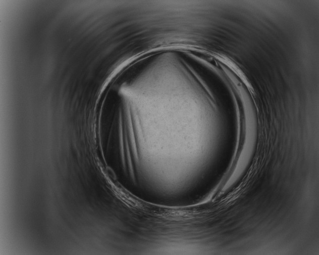 X0000052641101200507160150