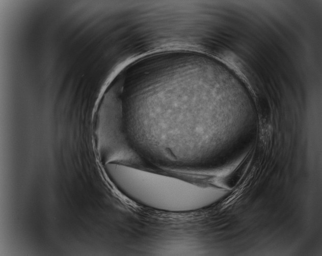 X0000052641102200507160150