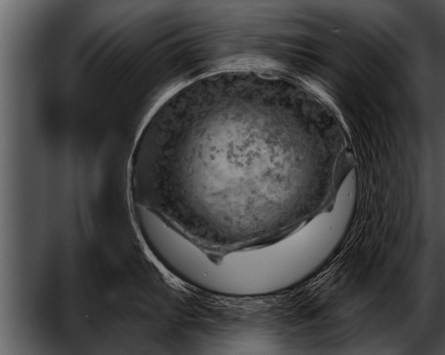 X0000052641103200507160150