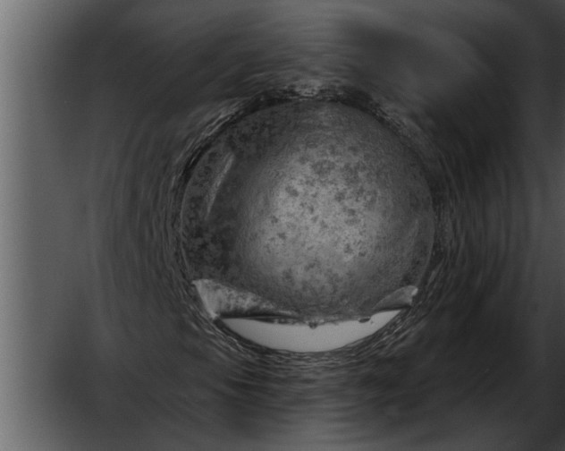 X0000052641105200507160149