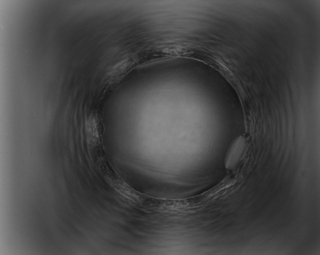 X0000052641106200507160149