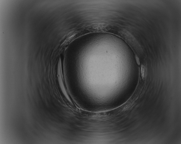 X0000052641107200507160149