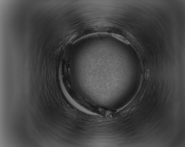 X0000052641108200507160149