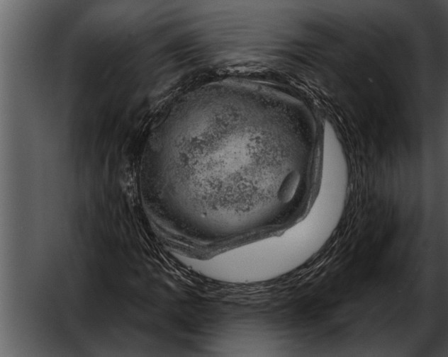 X0000052641109200507160149