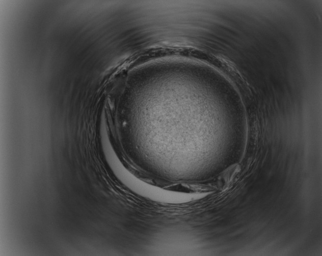 X0000052641110200507160149