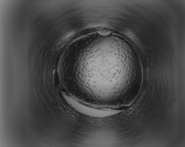 X0000052641111200507160149