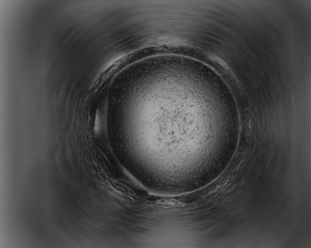 X0000052641112200507160149