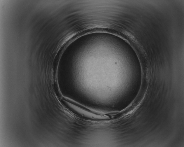 X0000052641113200507160149