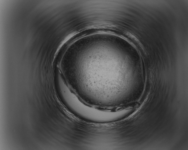 X0000052641114200507160149