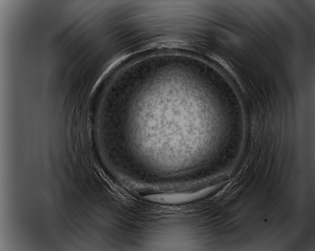 X0000052641115200507160149