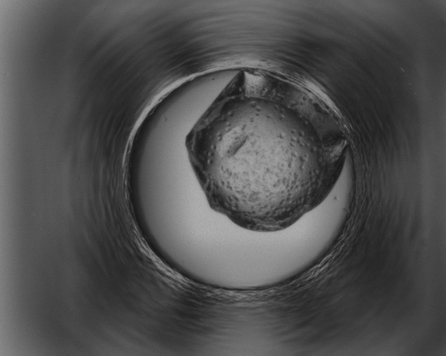 X0000052641116200507160149