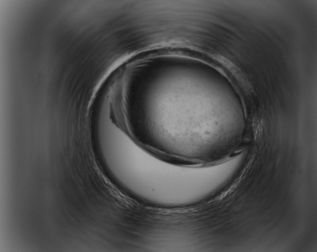 X0000052641118200507160149