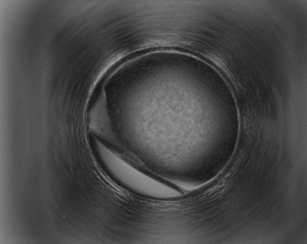 X0000052641119200507160149