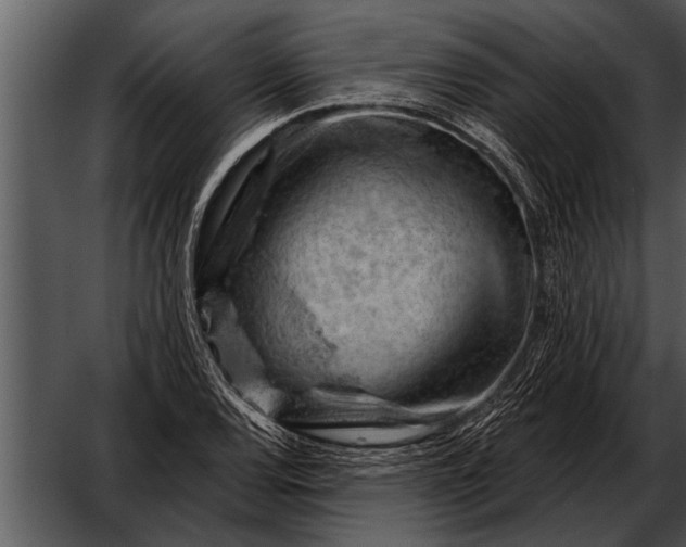 X0000052641120200507160149