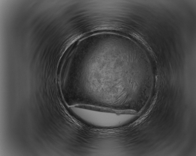 X0000052641121200507160149