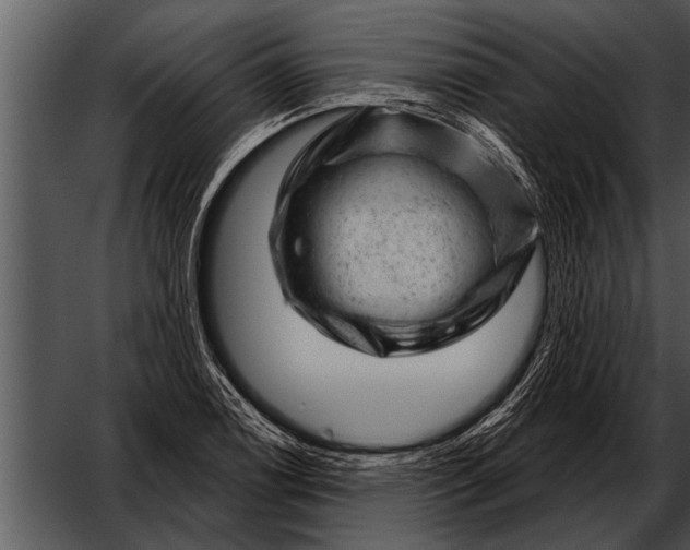 X0000052641122200507160150