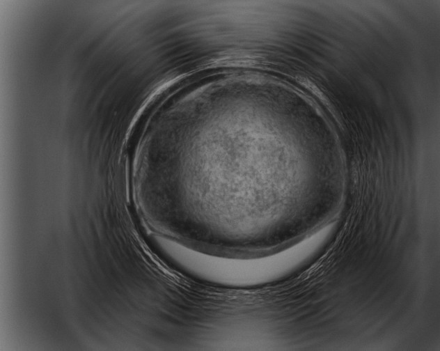 X0000052641123200507160150