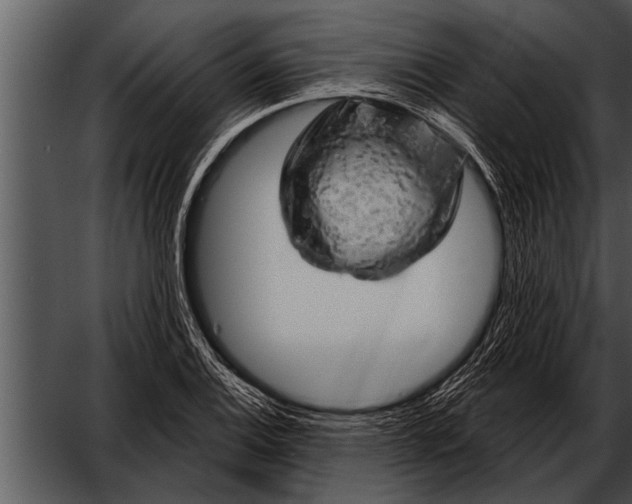 X0000052641124200507160150