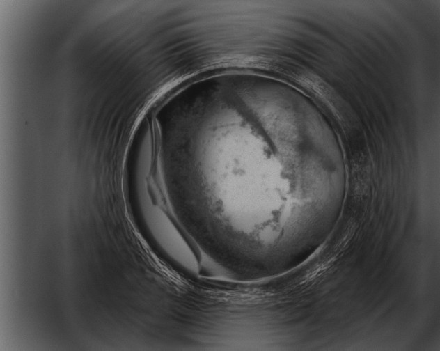 X0000052641125200507160150