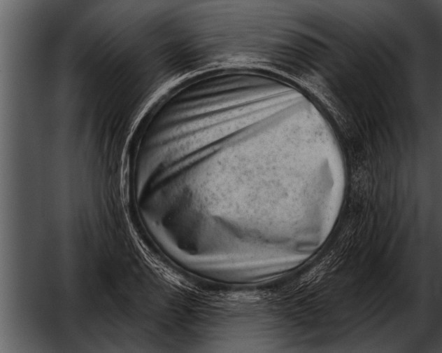 X0000052641126200507160150