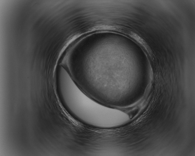 X0000052641127200507160150